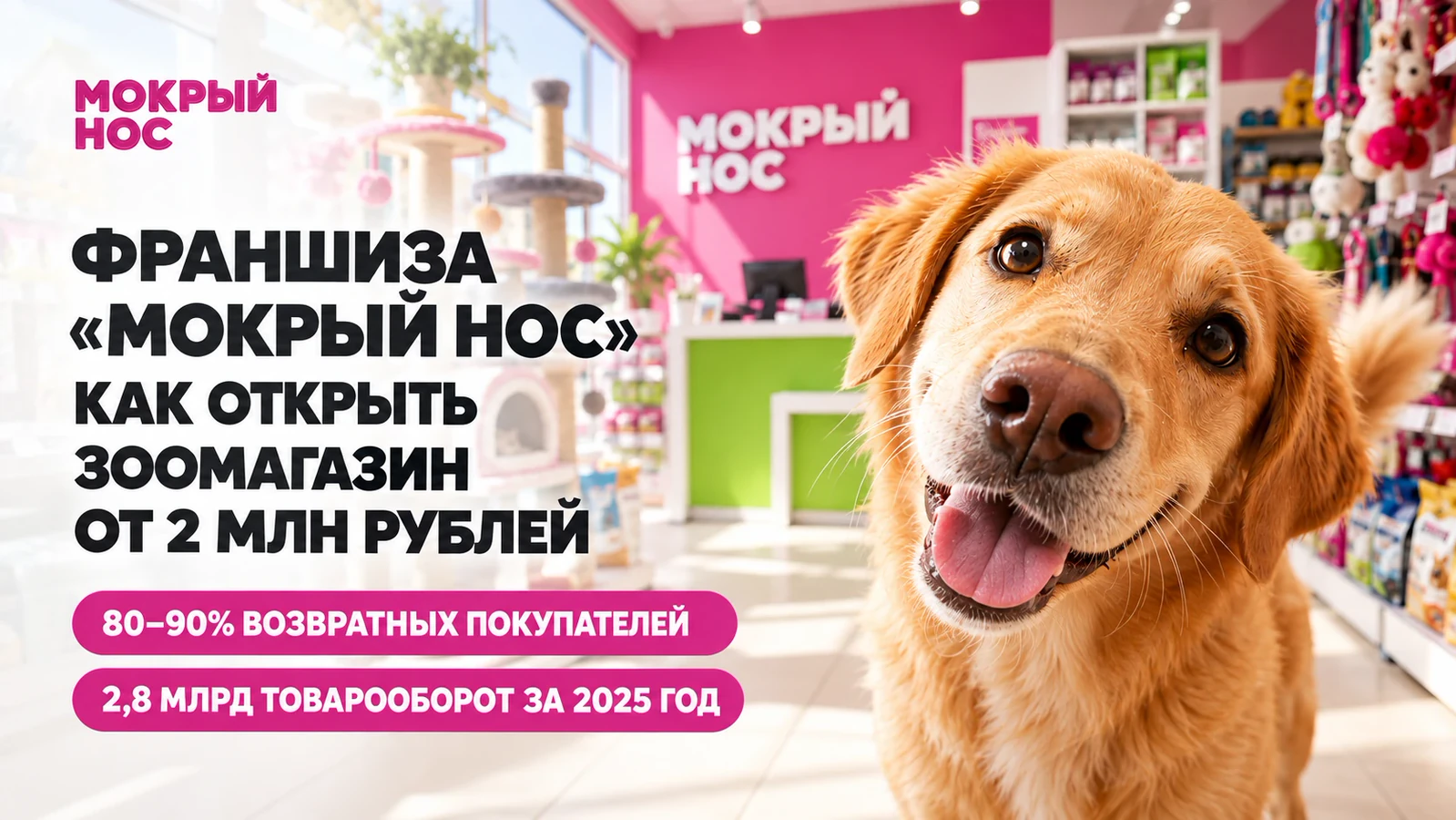 Франшиза «Мокрый нос»: инвестиции, прибыль, окупаемость и условия запуска
